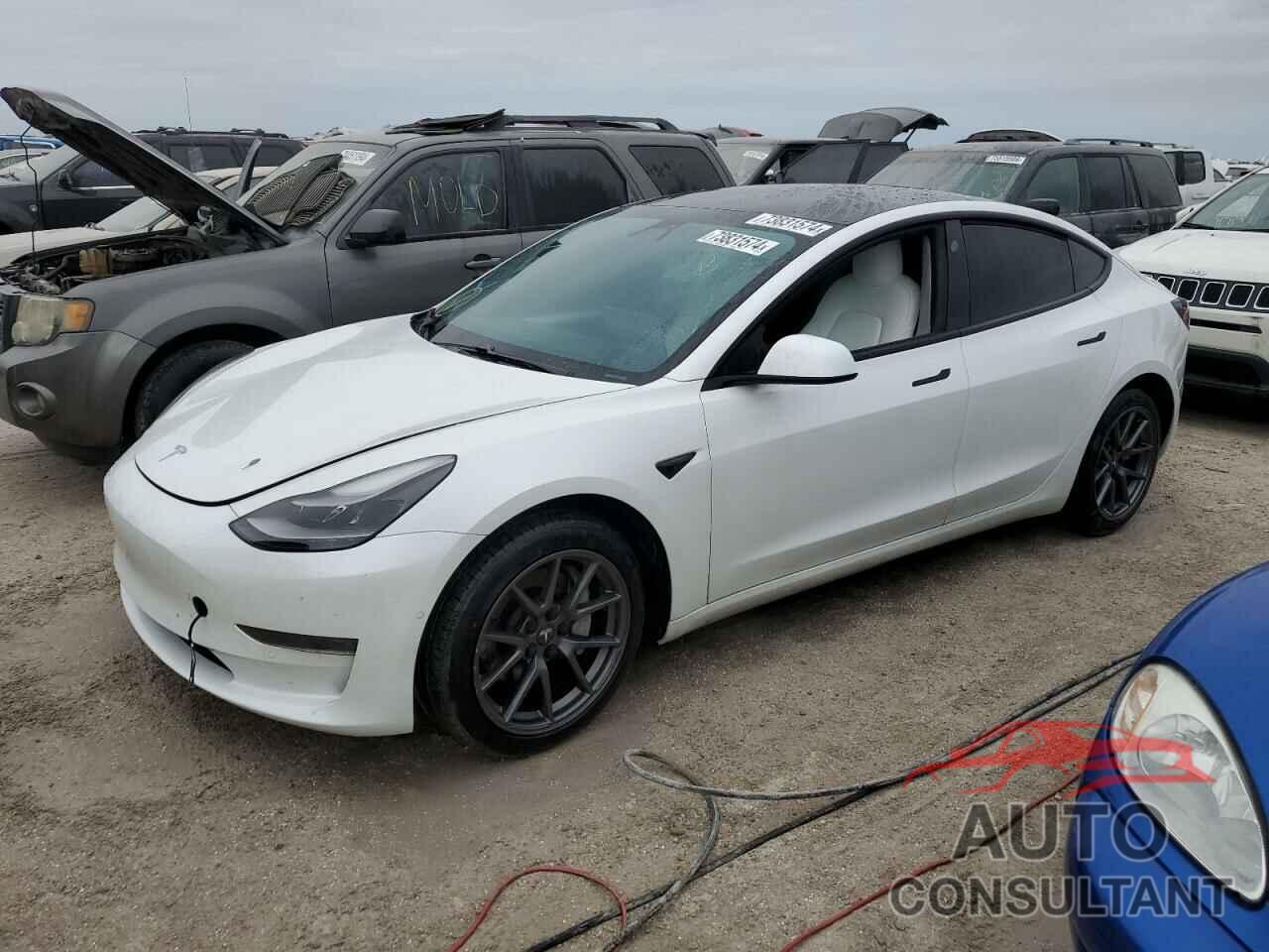 TESLA MODEL 3 2021 - 5YJ3E1EA4MF029398