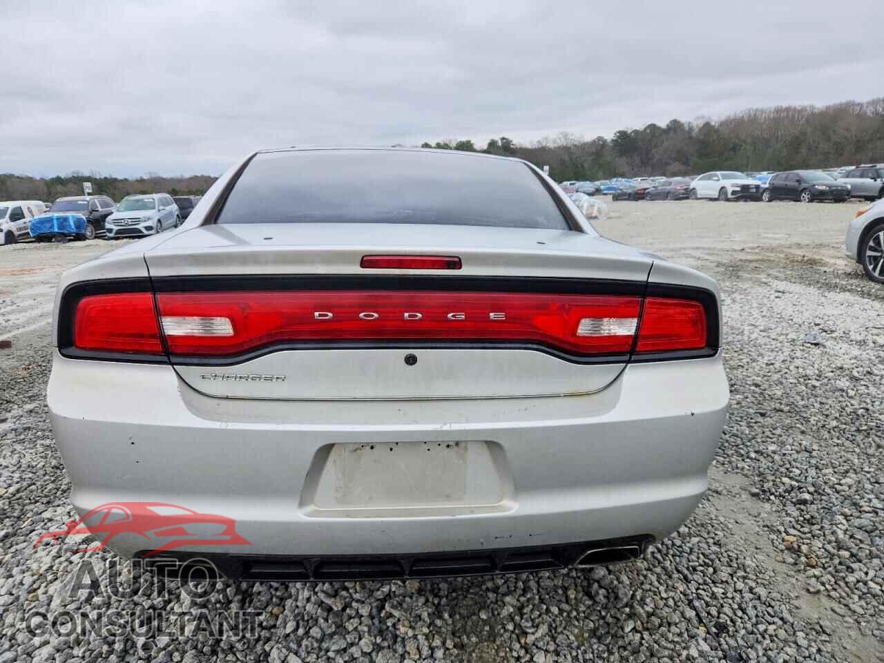 DODGE CHARGER 2013 - 2C3CDXAT3DH549815