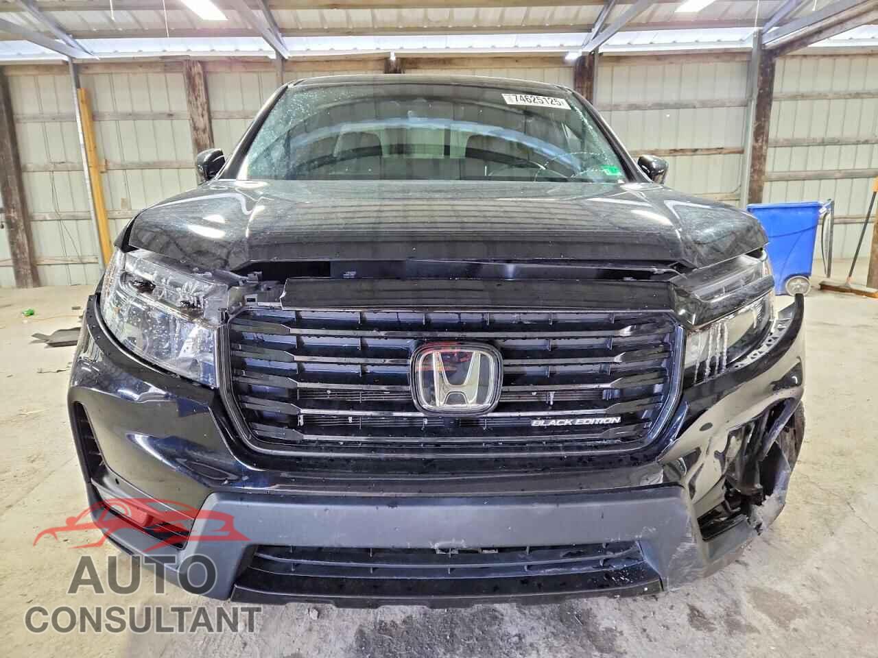 HONDA RIDGELINE 2021 - 5FPYK3F89MB003943