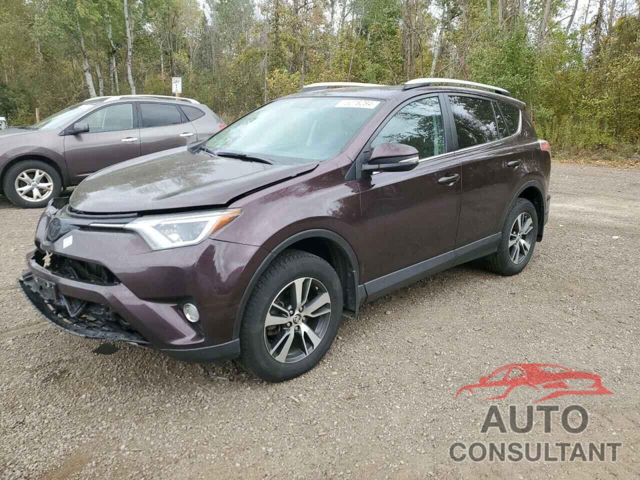 TOYOTA RAV4 2016 - 2T3WFREV7GW246065