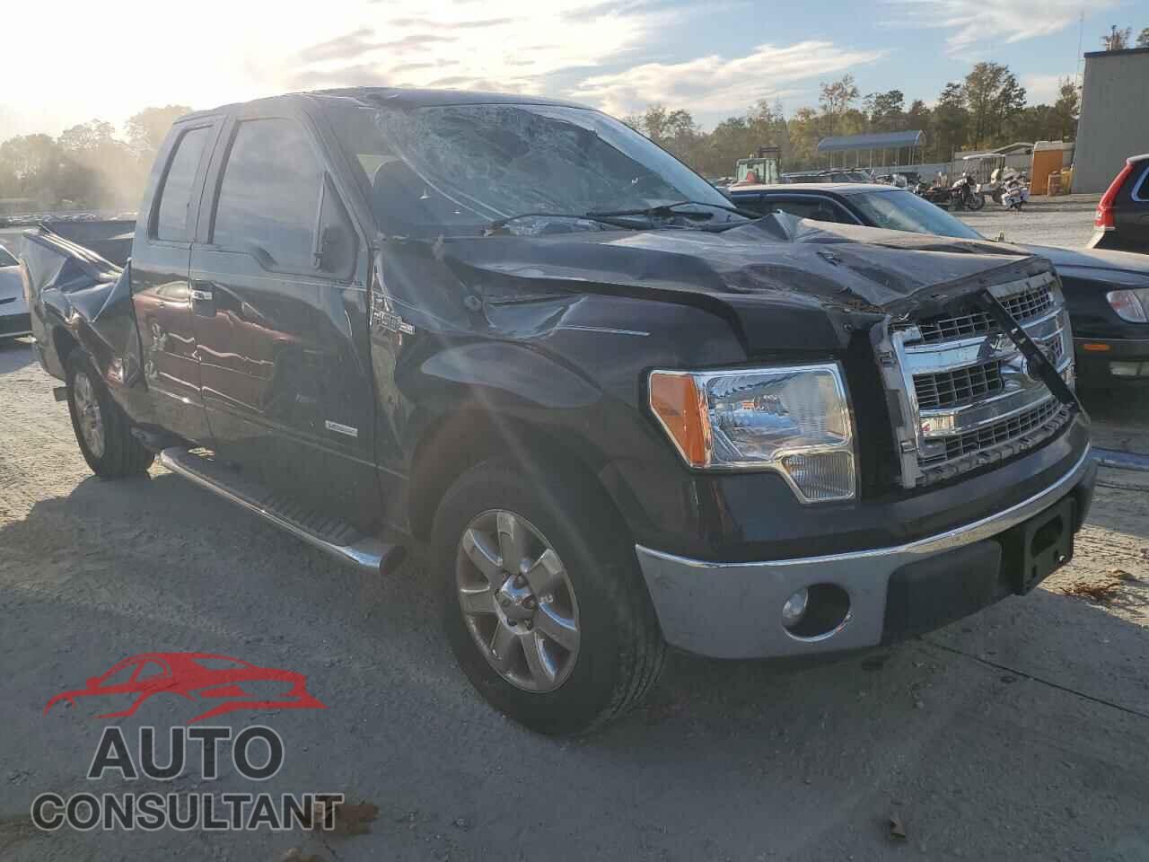 FORD F-150 2013 - 1FTFX1CT0DFD00206