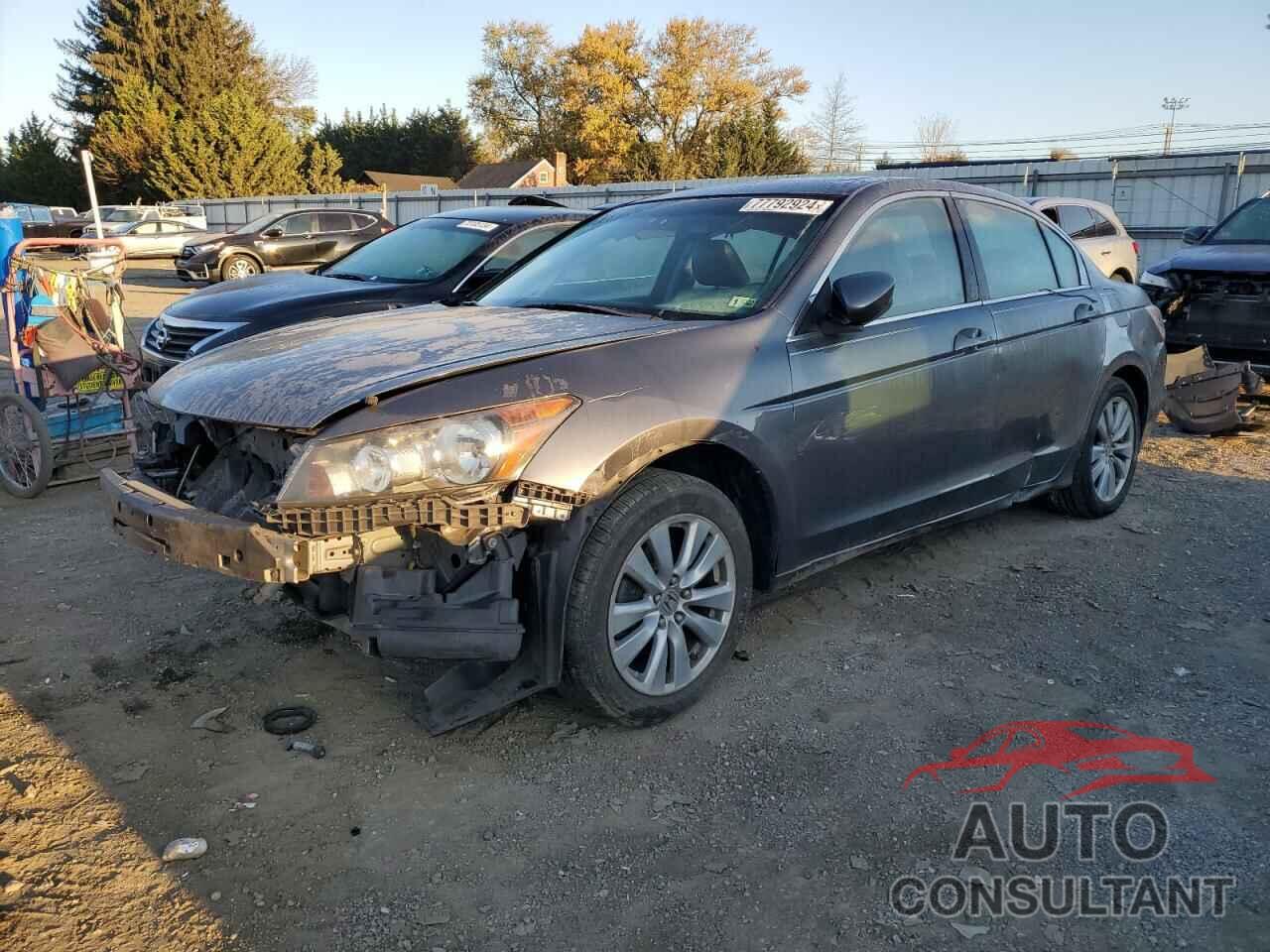 HONDA ACCORD 2011 - 1HGCP2F8XBA019817