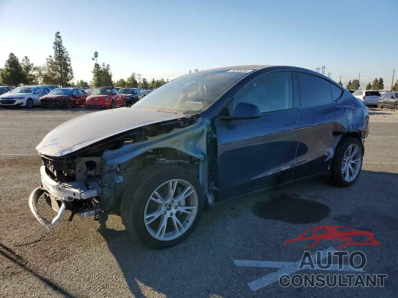 TESLA MODEL Y 2024 - 7SAYGDEE4RF060486