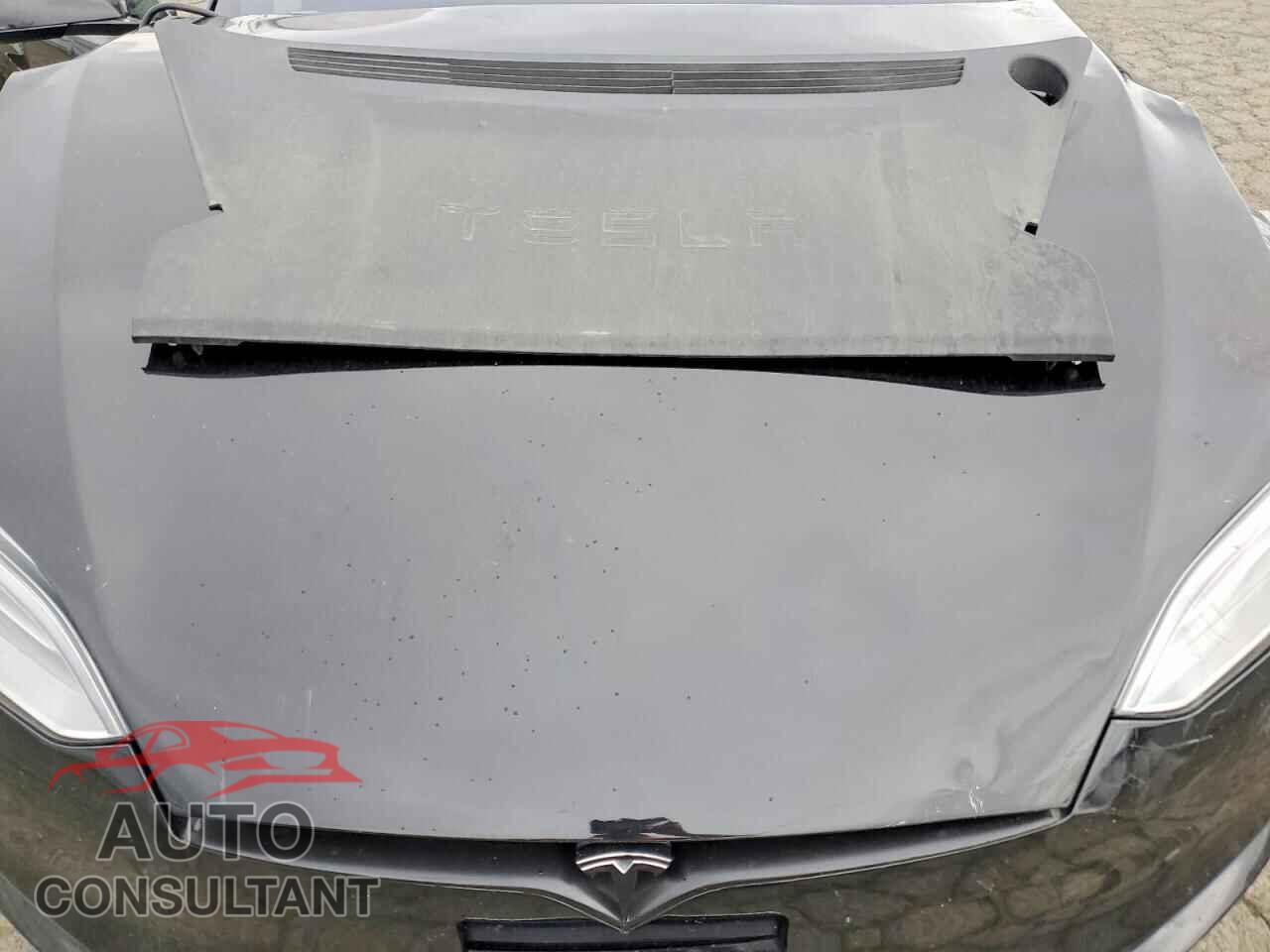 TESLA MODEL S 2019 - 5YJSA1E43KF335149