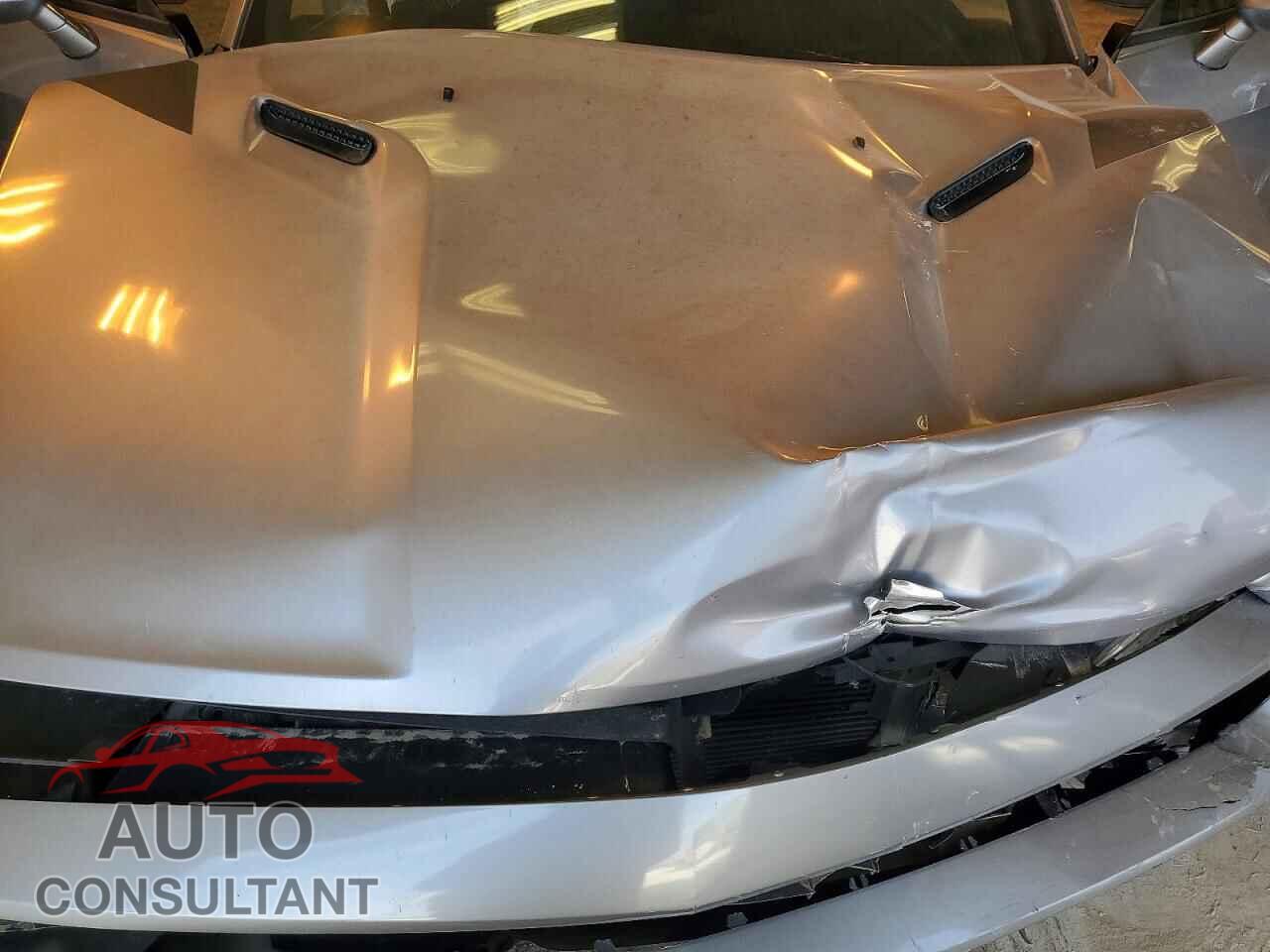 DODGE CHALLENGER 2013 - 2C3CDYAG1DH646875