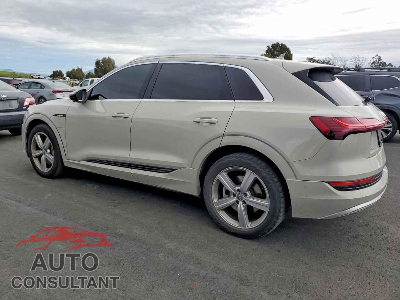 AUDI E-TRON 2019 - WA1VABGE7KB013104