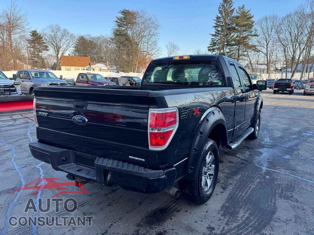 FORD F-150 2013 - 1FTFX1EF3DFC99544