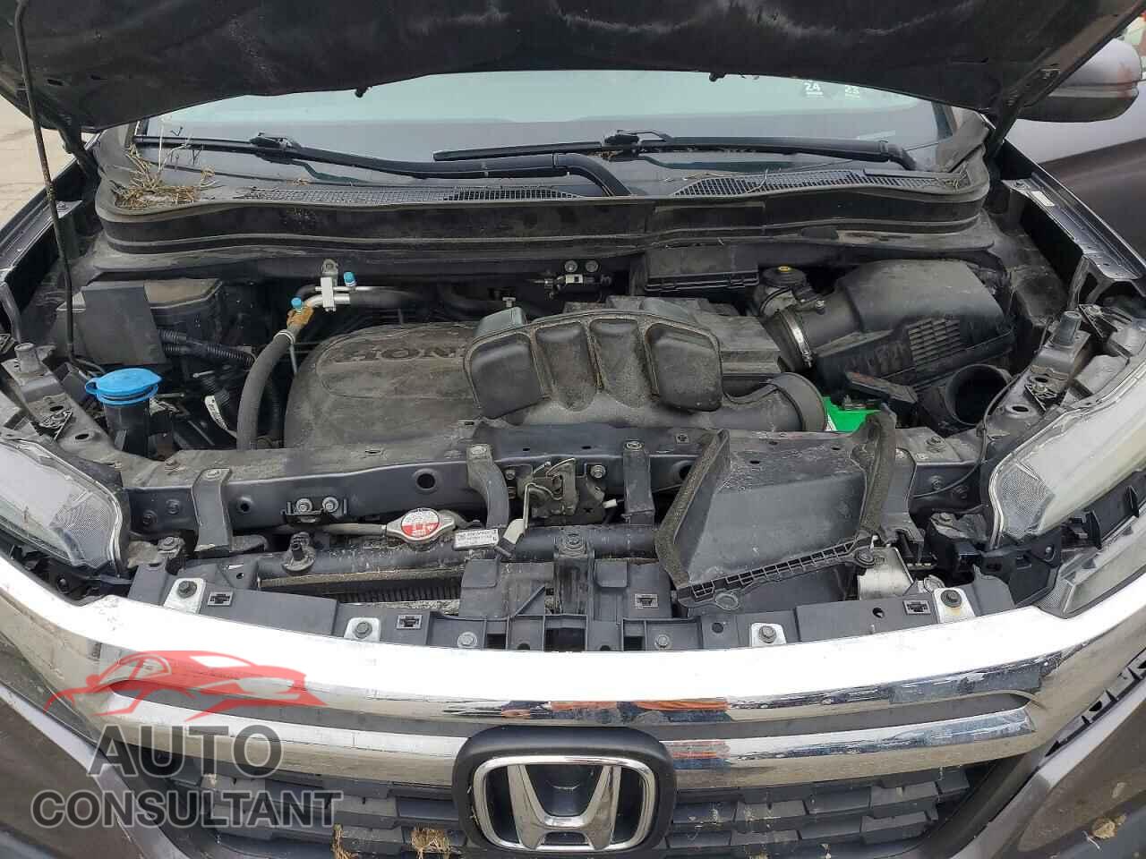HONDA RIDGELINE 2017 - 5FPYK2F59HB011773