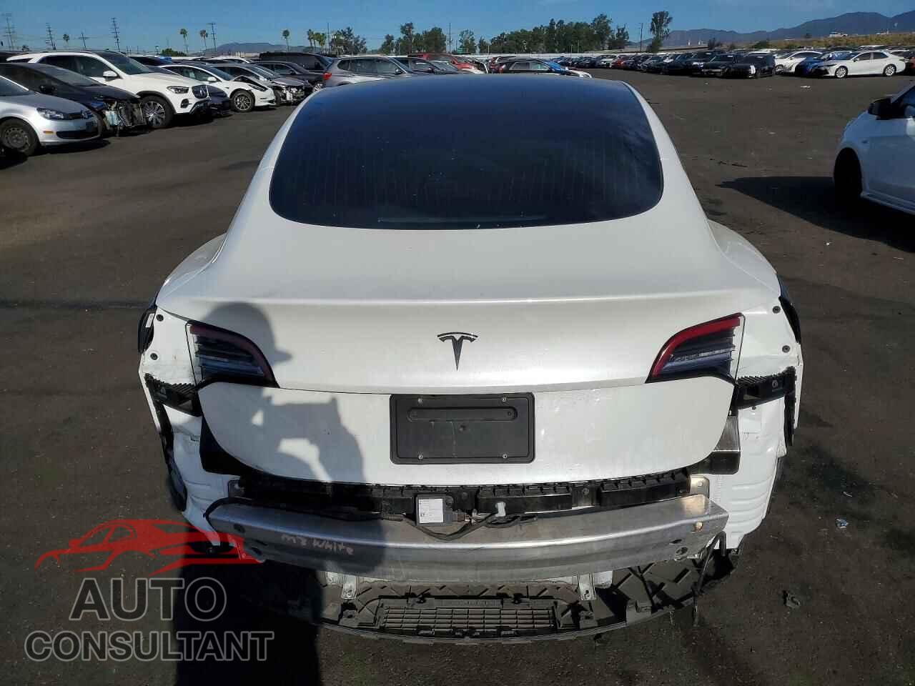 TESLA MODEL 3 2020 - 5YJ3E1EA3LF804420