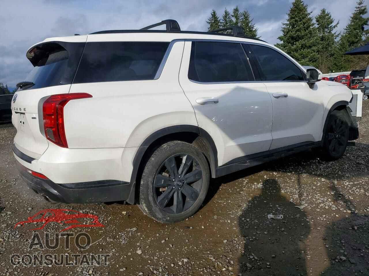 HYUNDAI PALISADE 2023 - KM8R3DGE7PU539656