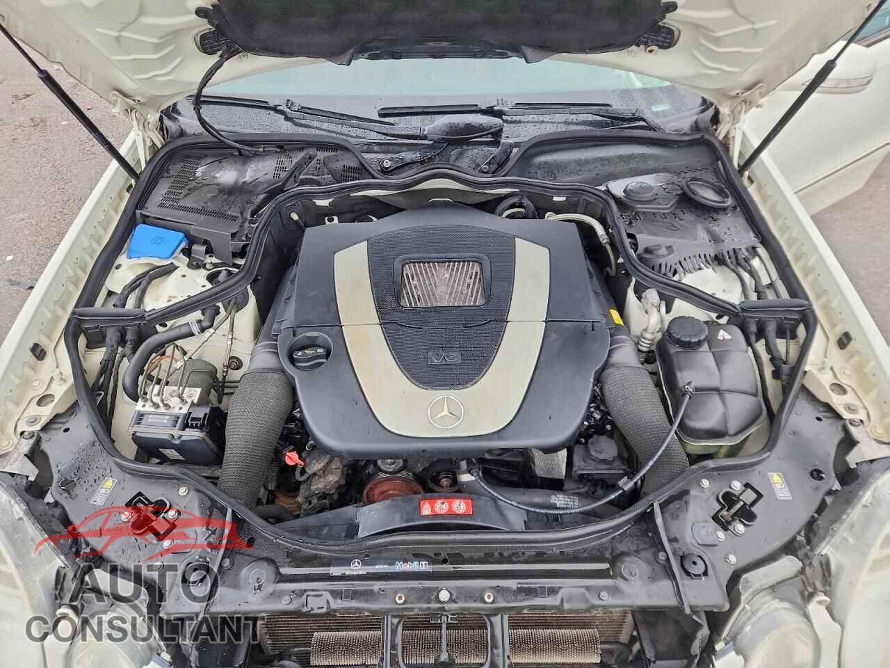 MERCEDES-BENZ E-CLASS 2009 - WDBUF87XX9B397136