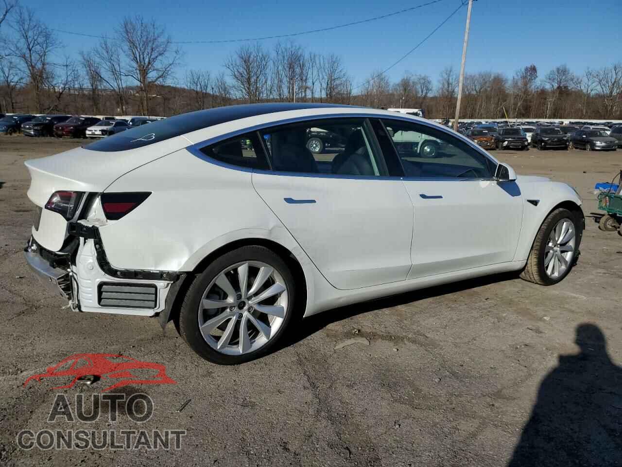 TESLA MODEL 3 2020 - 5YJ3E1EA8LF806552