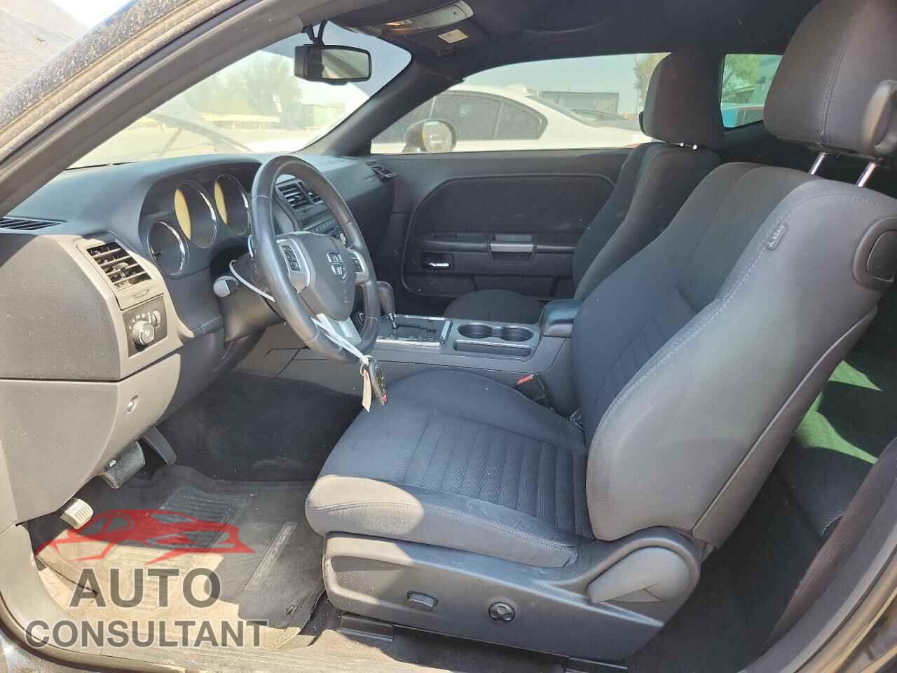 DODGE CHALLENGER 2013 - 2C3CDYBTXDH646837
