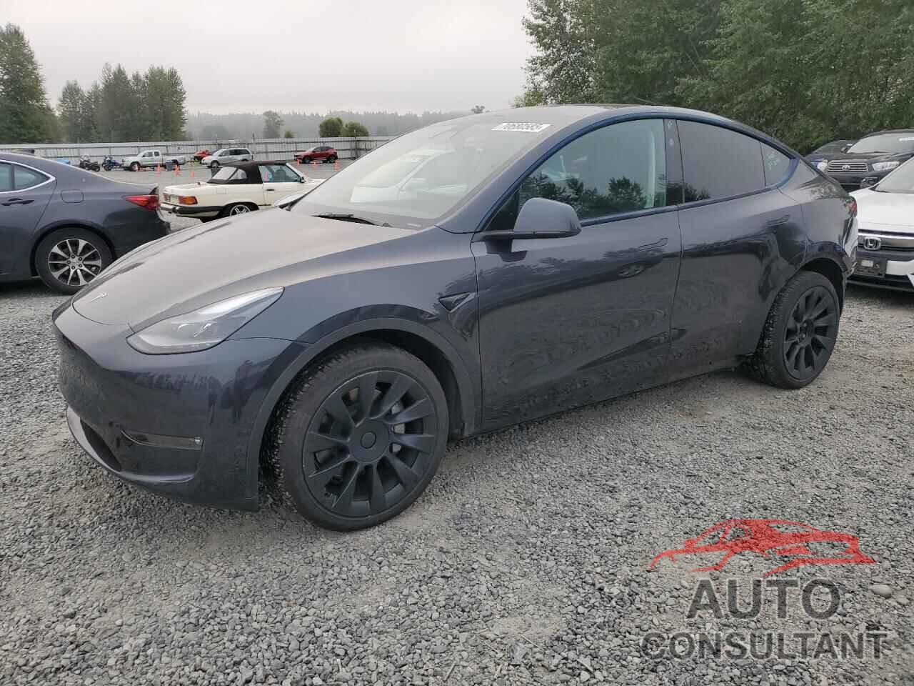TESLA MODEL Y 2024 - 7SAYGAEE7RF006775