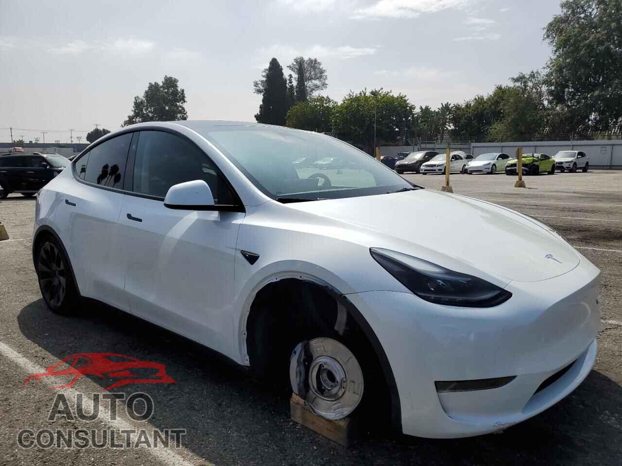 TESLA MODEL Y 2024 - 7SAYGDED6RF043891