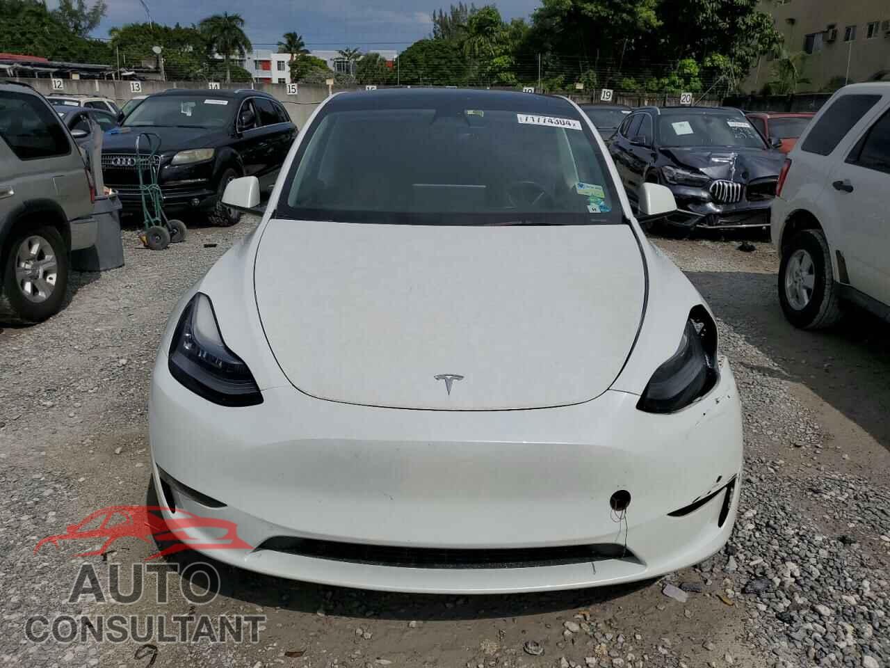 TESLA MODEL Y 2023 - 7SAYGAEE4PF595216
