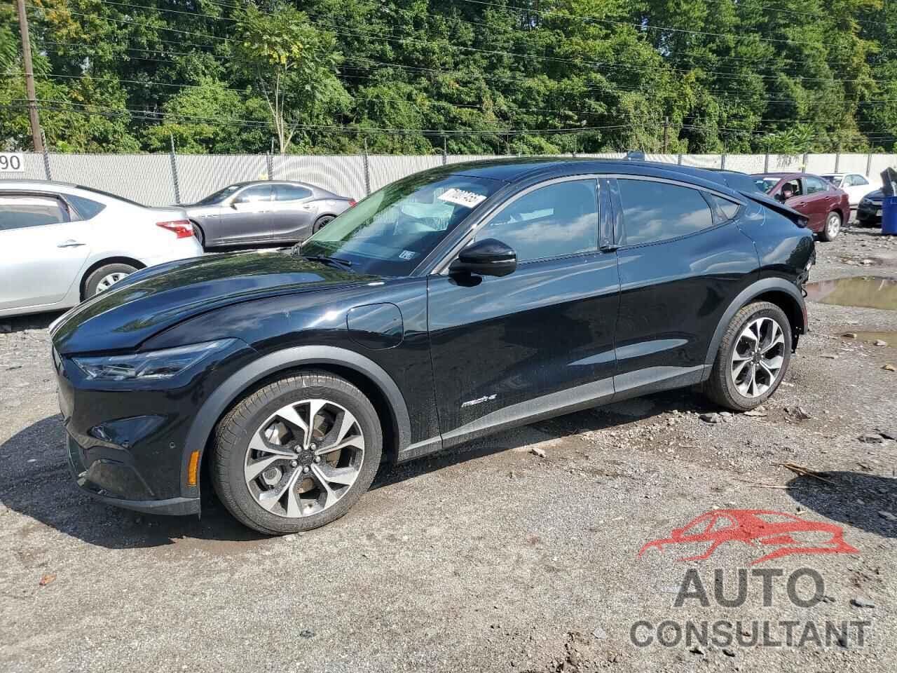 FORD MUSTANG 2024 - 3FMTK1R44RMA45368