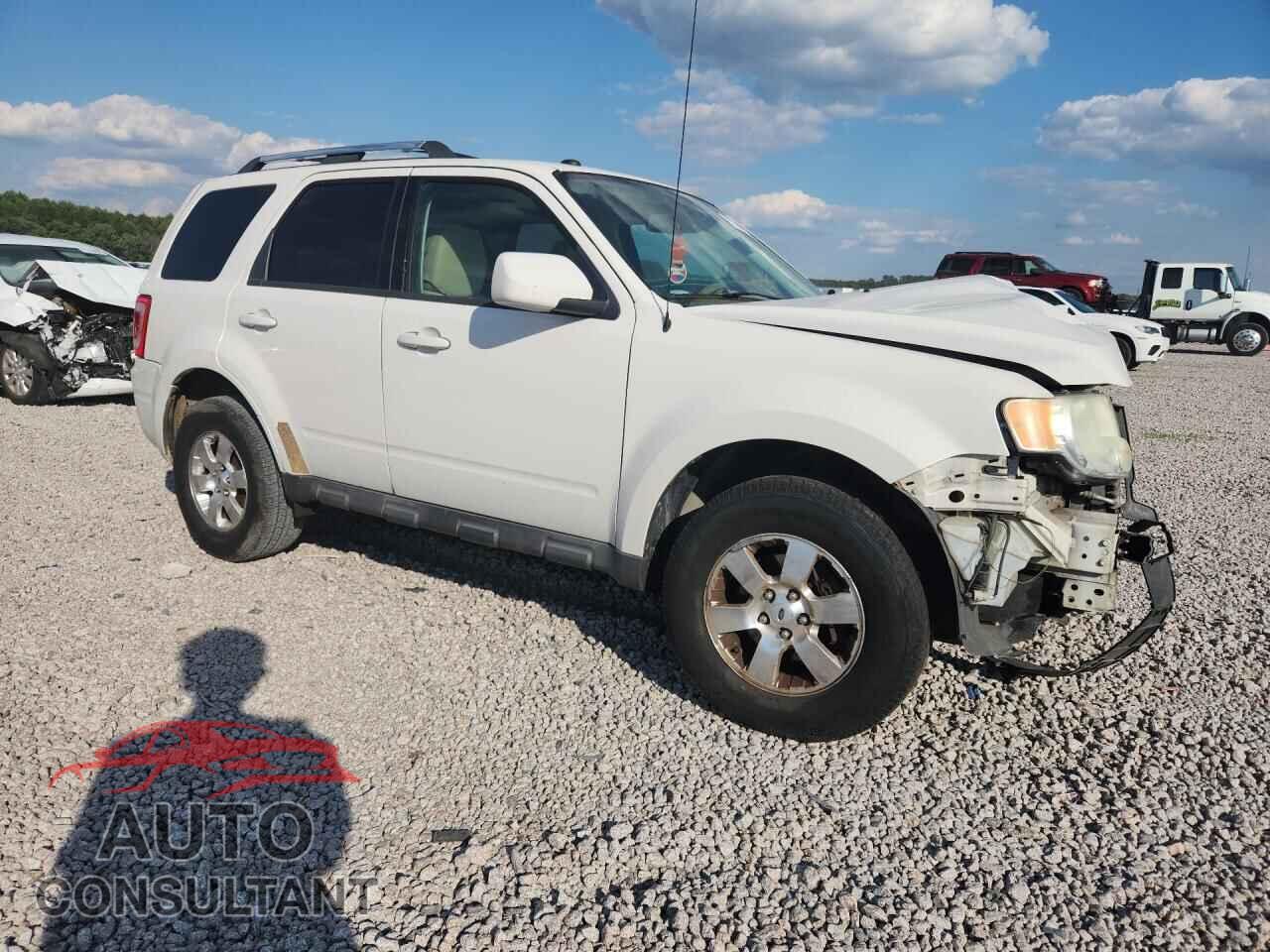 FORD ESCAPE 2011 - 1FMCU0EG7BKB79048
