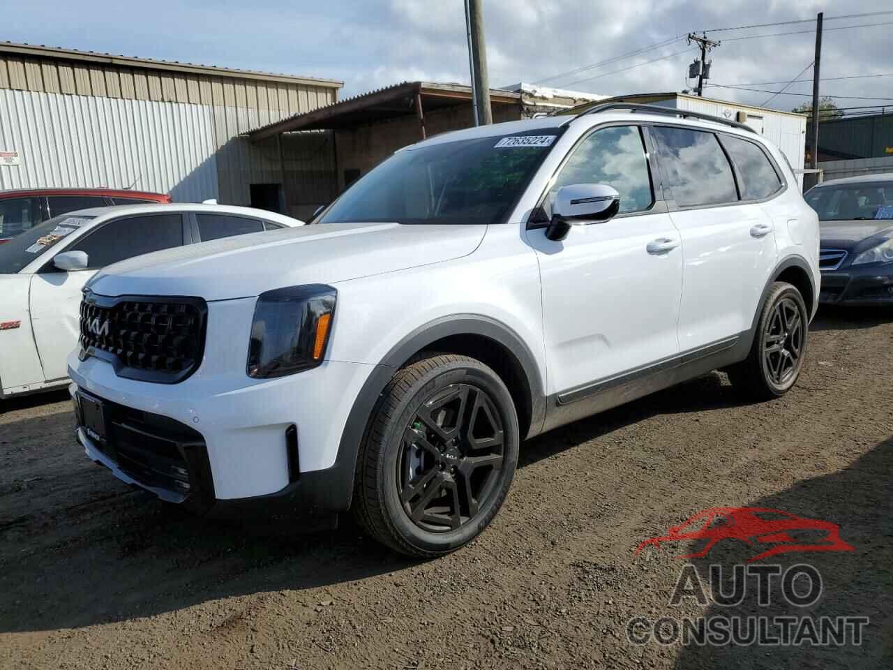 KIA TELLURIDE 2024 - 5XYP5DGC2RG540349