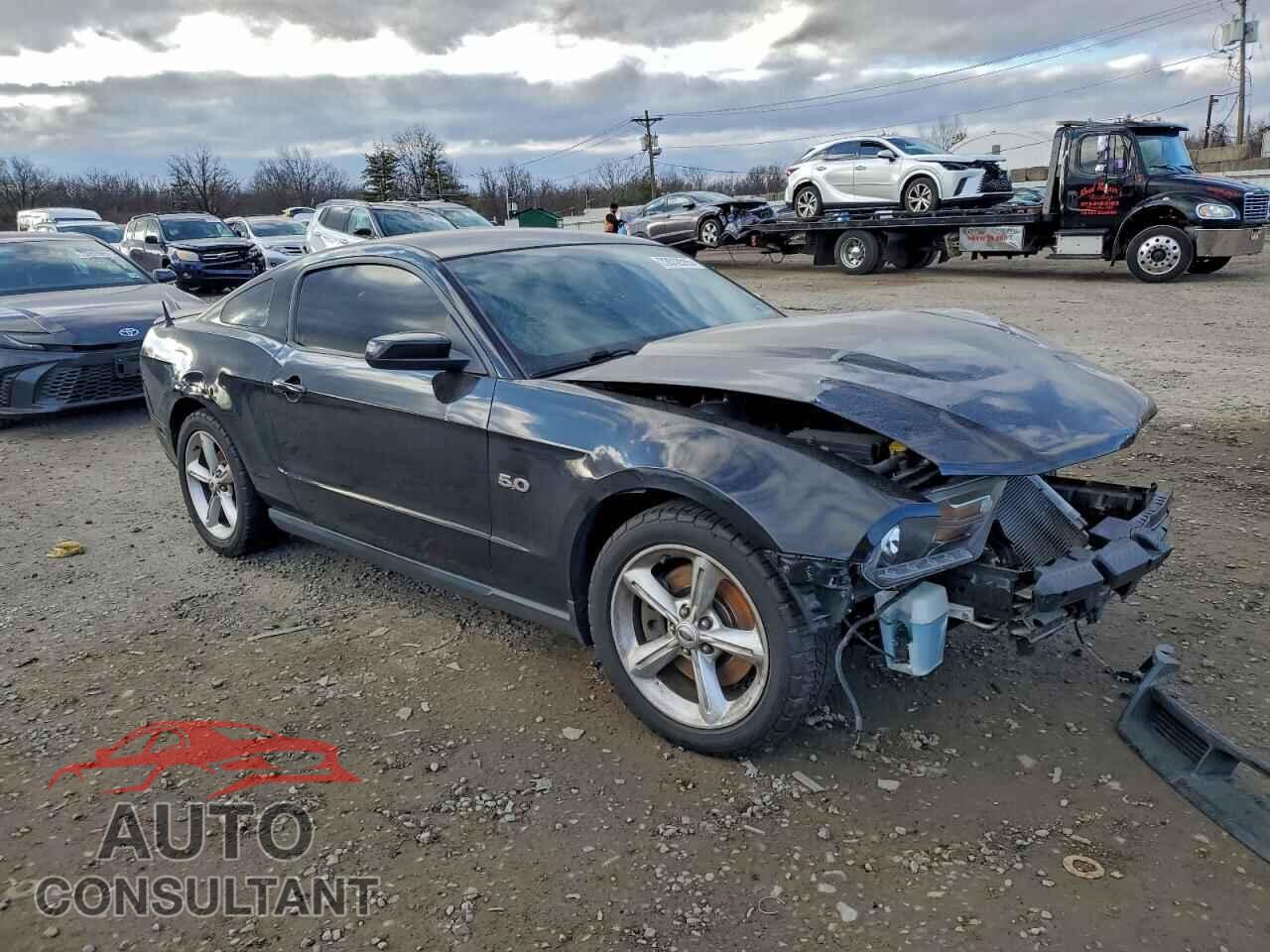 FORD MUSTANG 2011 - 1ZVBP8CF4B5155267