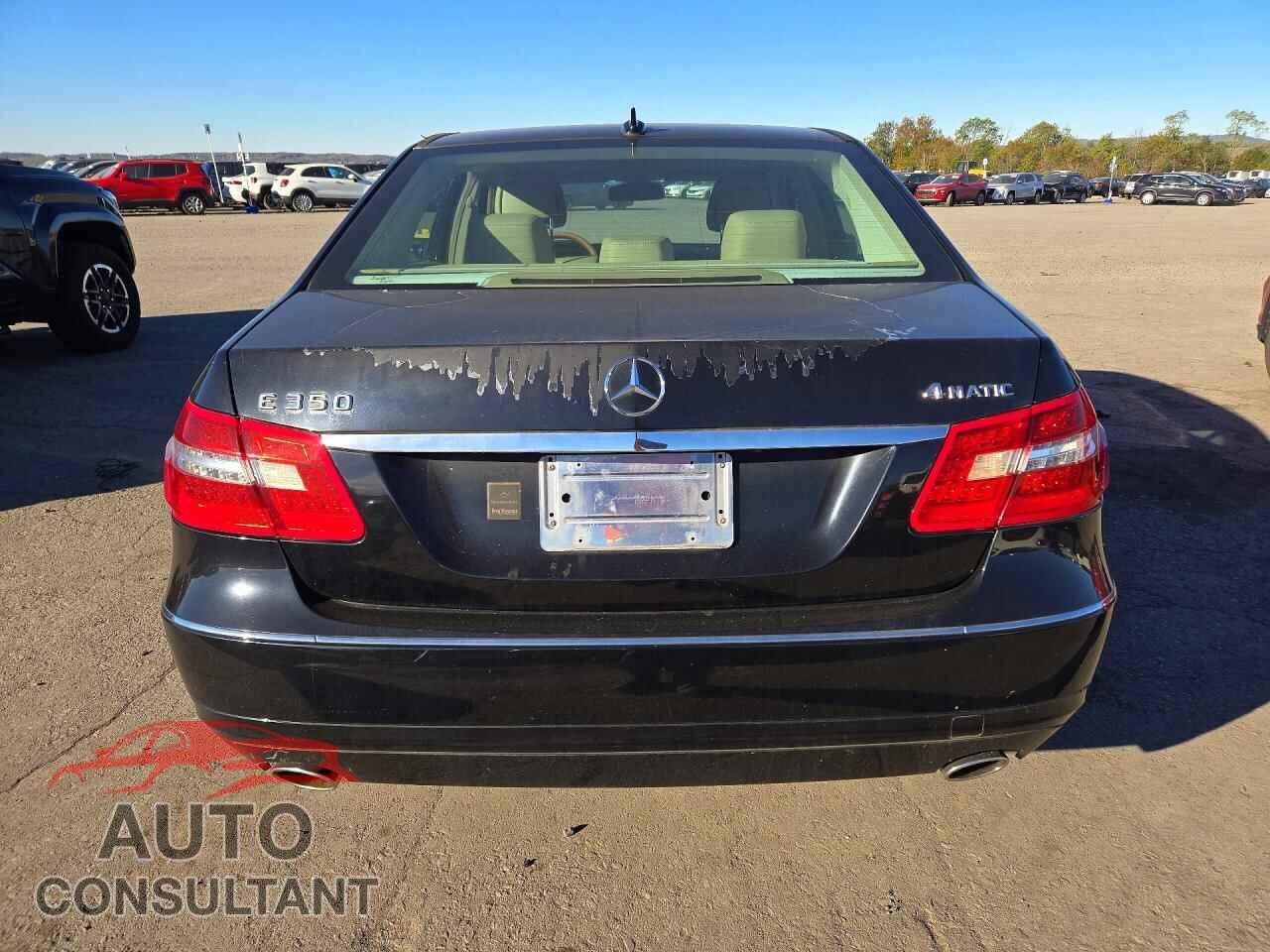 MERCEDES-BENZ E-CLASS 2010 - WDDHF8HB1AA239080