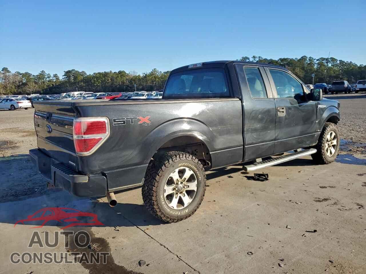 FORD F-150 2013 - 1FTFX1EF3DFD62027