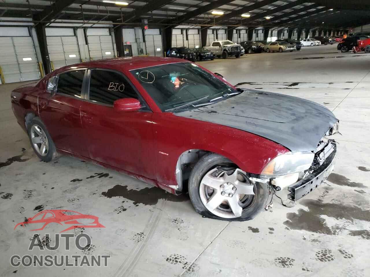 DODGE CHARGER 2013 - 2C3CDXAT0DH560352
