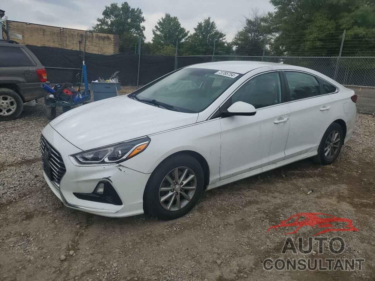 HYUNDAI SONATA 2019 - 5NPE24AF1KH744870