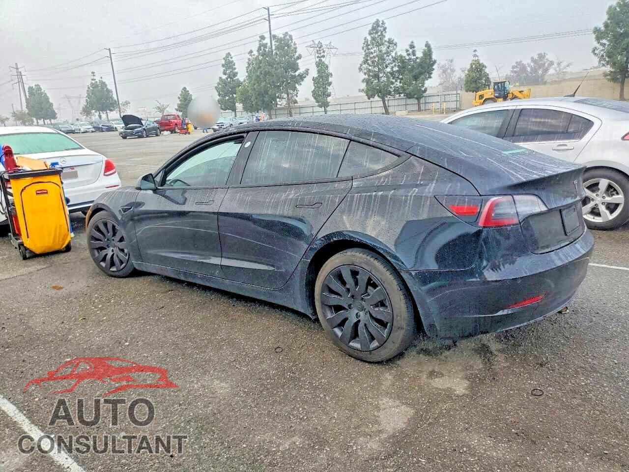 TESLA MODEL 3 2021 - 5YJ3E1EA2MF051206