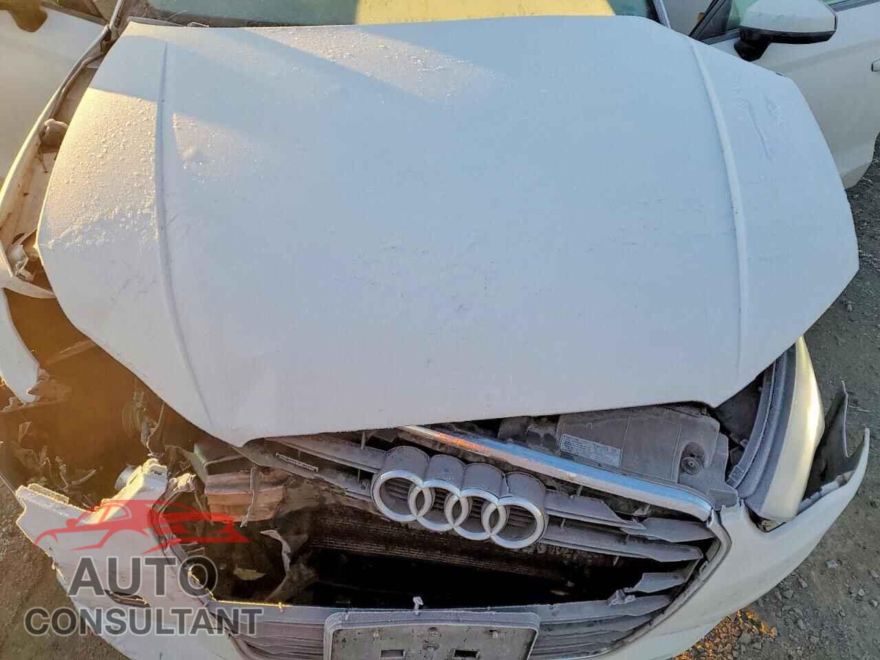 AUDI A3 2015 - WAUBFGFF8F1007046