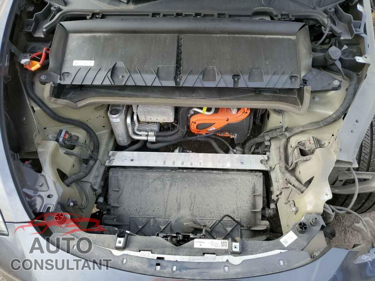 TESLA MODEL Y 2023 - LRWYGDFD1PC221127