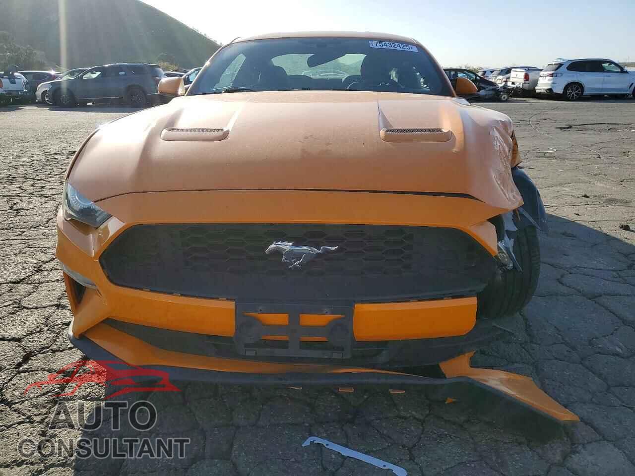 FORD ALL Models 2019 - 1FA6P8TH2K5169292