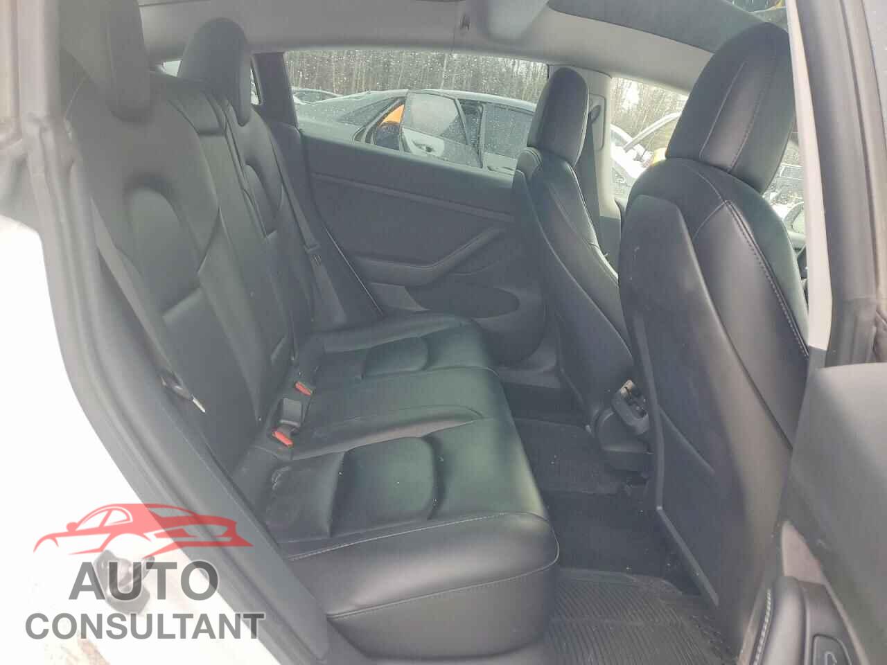 TESLA MODEL 3 2021 - 5YJ3E1EA3MF982295