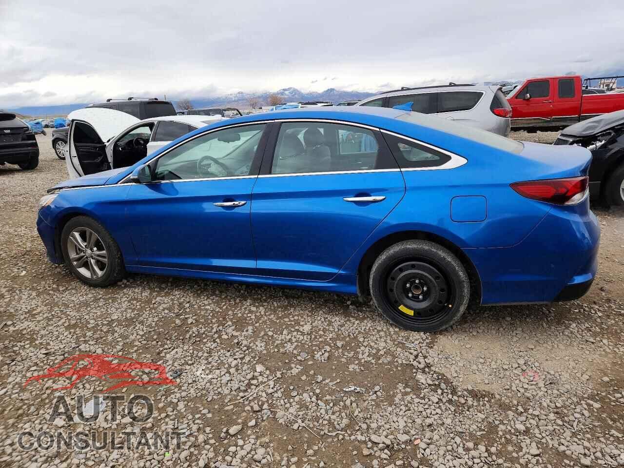 HYUNDAI SONATA 2019 - 5NPE34AF4KH741815