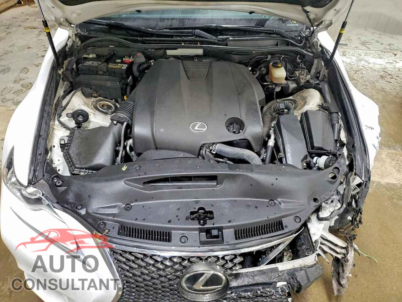 LEXUS IS 2015 - JTHCF1D23F5024767