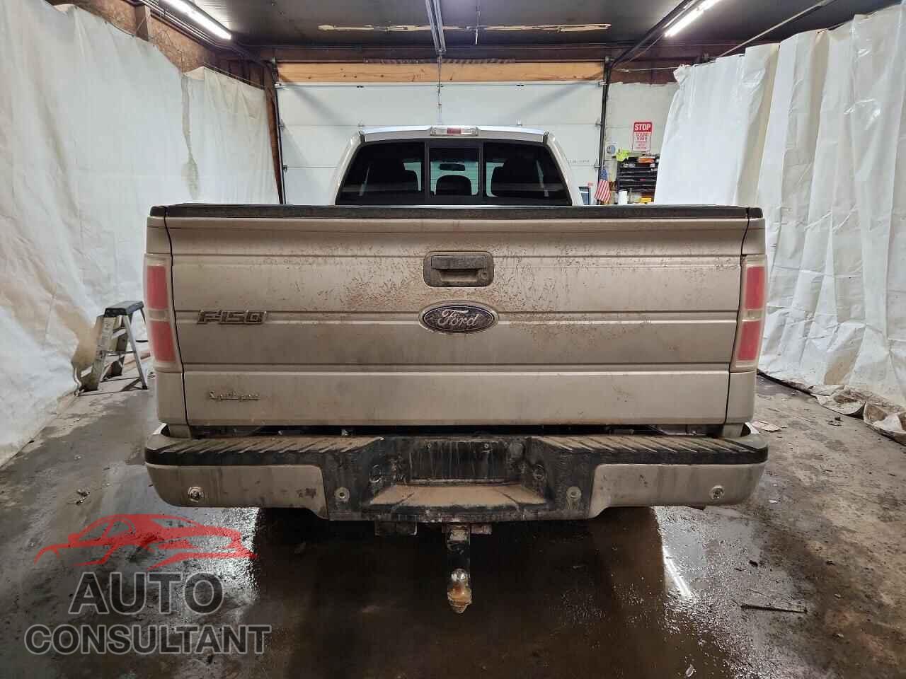 FORD F-150 2012 - 1FTVX1ET2CKD67775