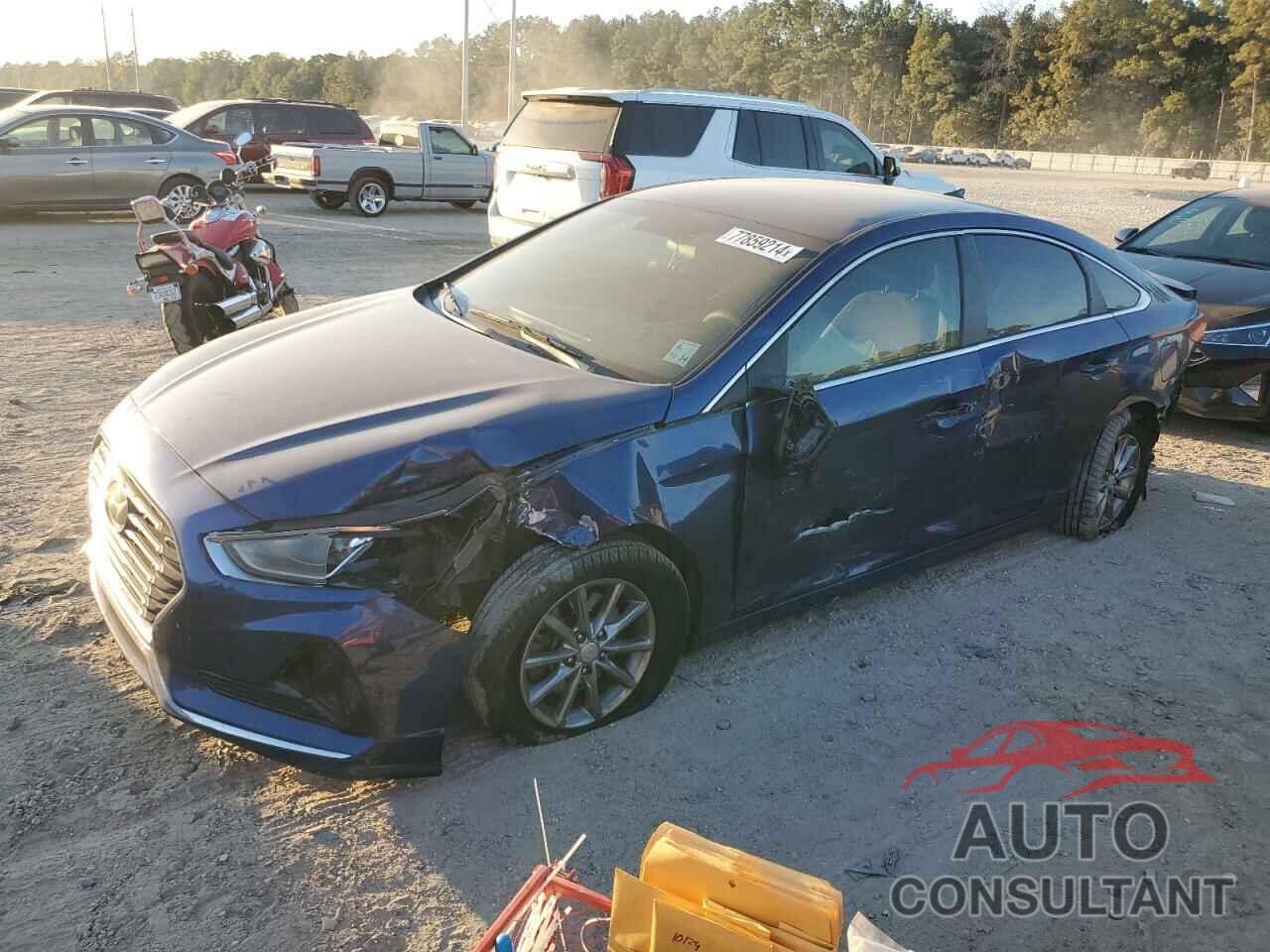 HYUNDAI SONATA 2019 - 5NPE24AF0KH738882