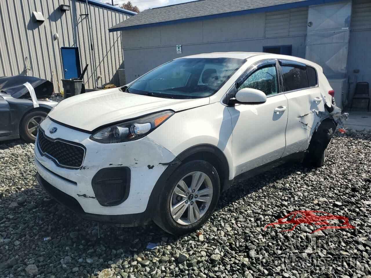 KIA SPORTAGE 2019 - KNDPM3AC2K7508672