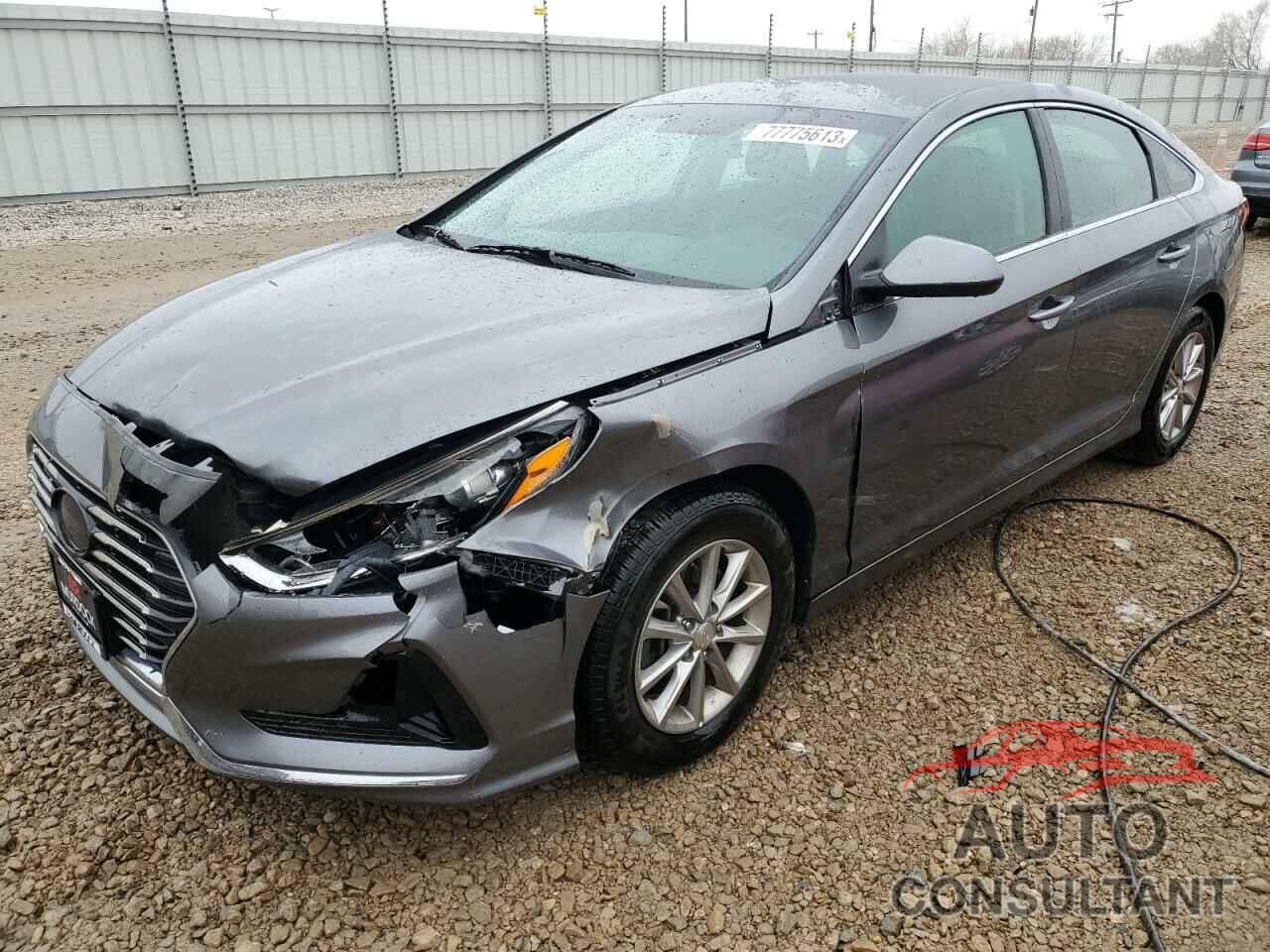 HYUNDAI SONATA 2019 - 5NPE24AF0KH733648