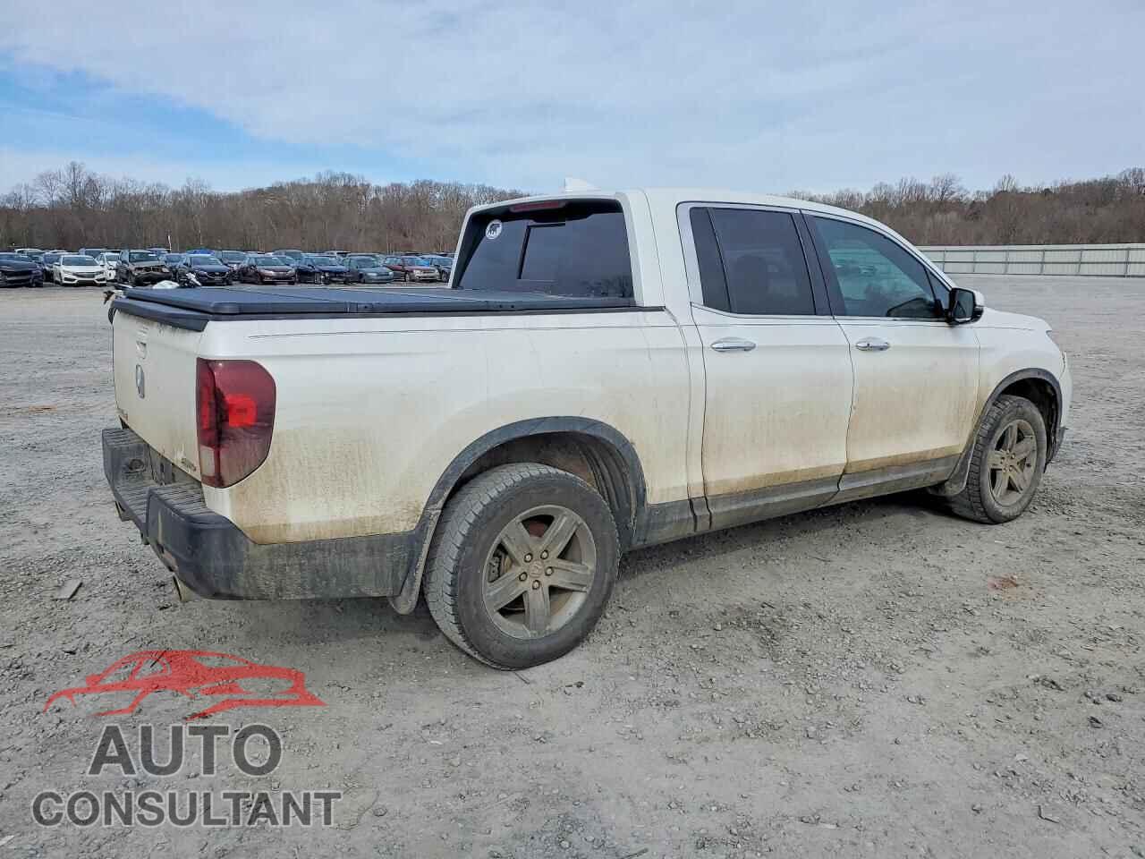 HONDA RIDGELINE 2021 - 5FPYK3F77MB008629