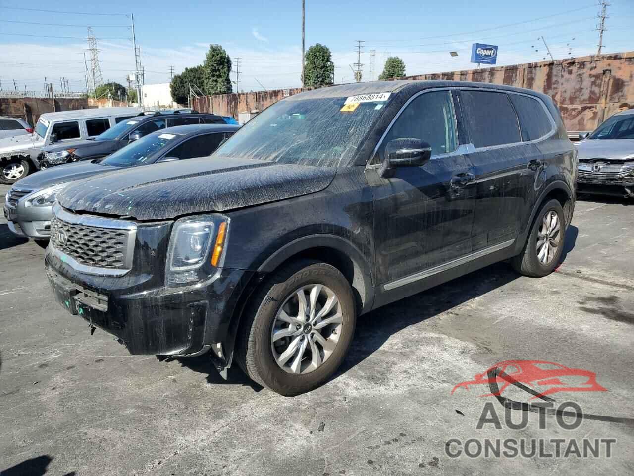 KIA TELLURIDE 2021 - 5XYP24HC3MG110989