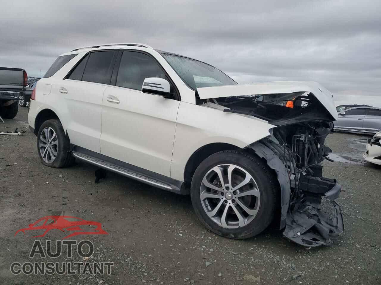 MERCEDES-BENZ GLE-CLASS 2017 - 4JGDA5HB2HA919291