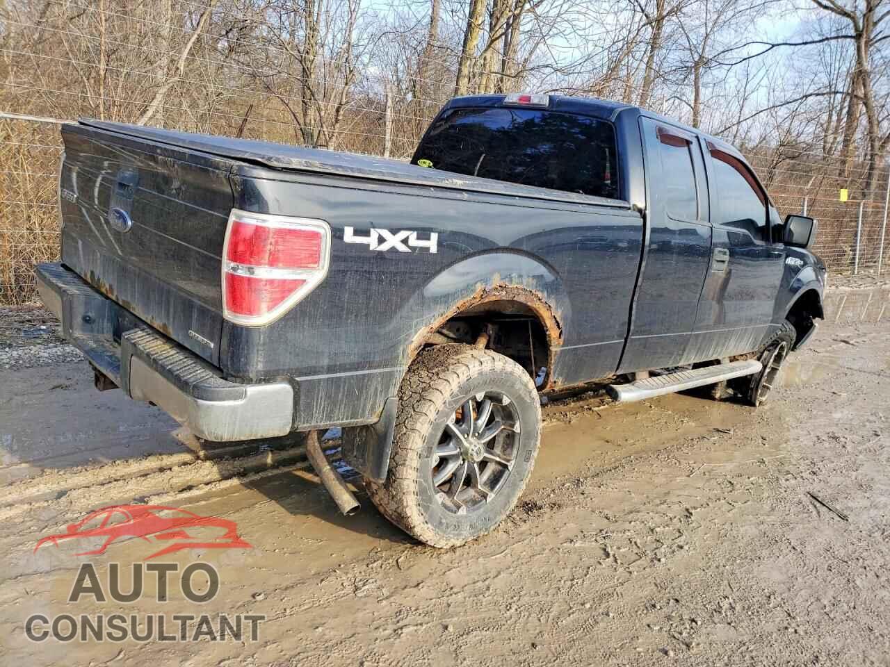 FORD F-150 2013 - 1FTFX1EF3DFD50539