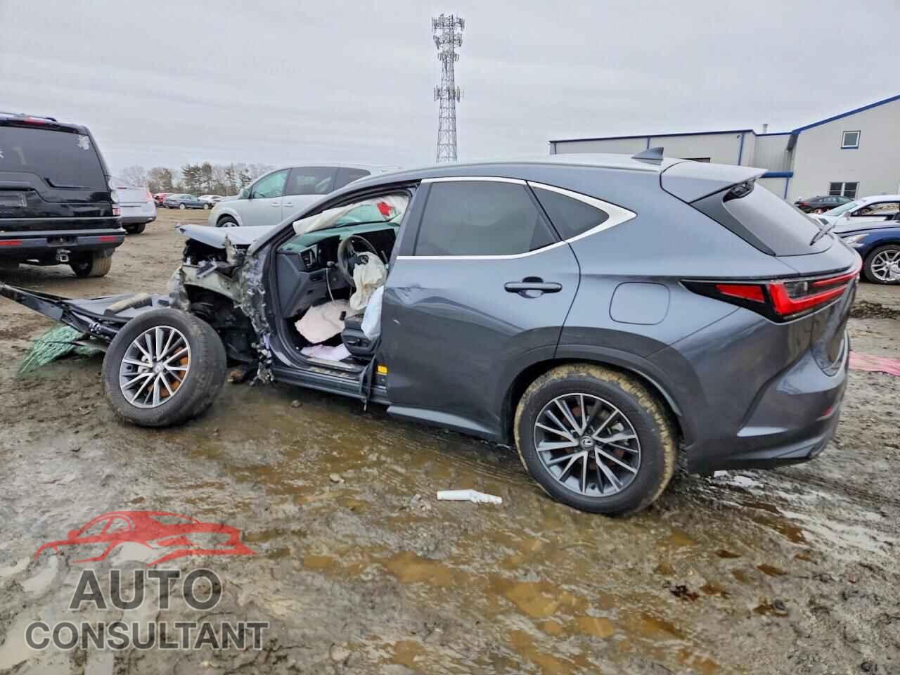 LEXUS UNKNOWN 2025 - 2T2GGCEZ5SC079026