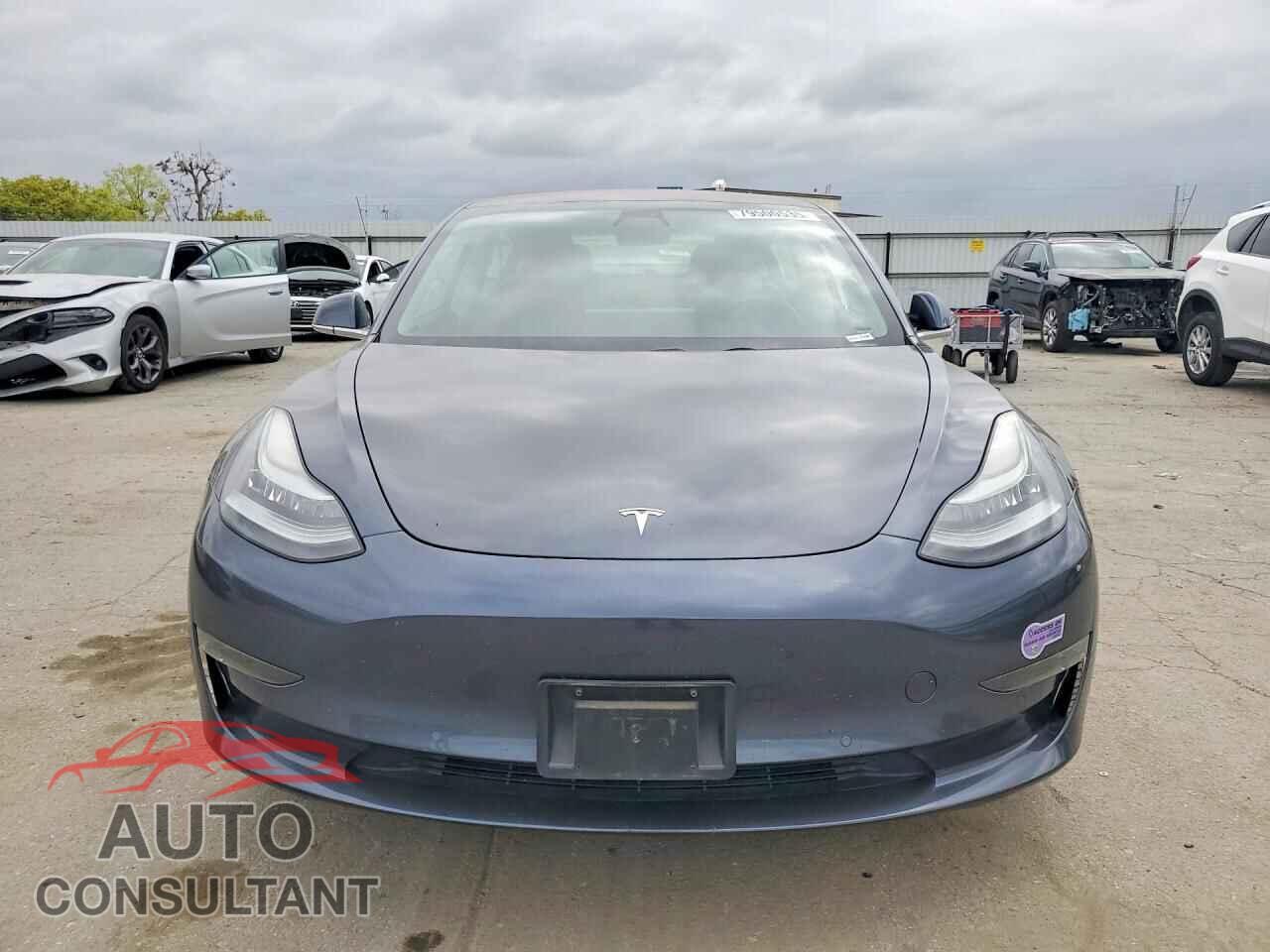 TESLA MODEL 3 2019 - 5YJ3E1EA1KF208365