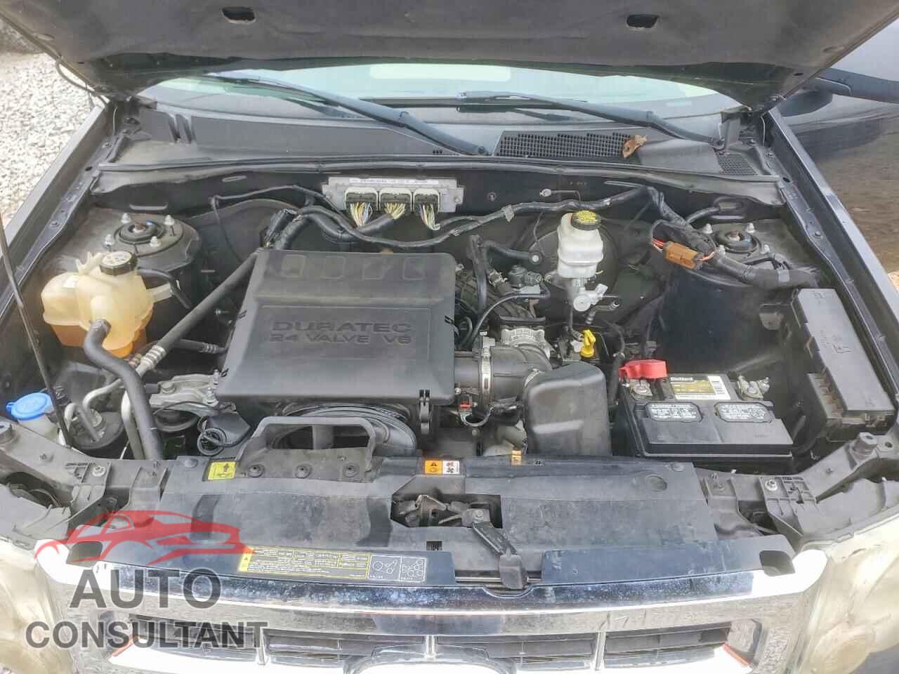 FORD ESCAPE 2011 - 1FMCU0DG2BKA52919