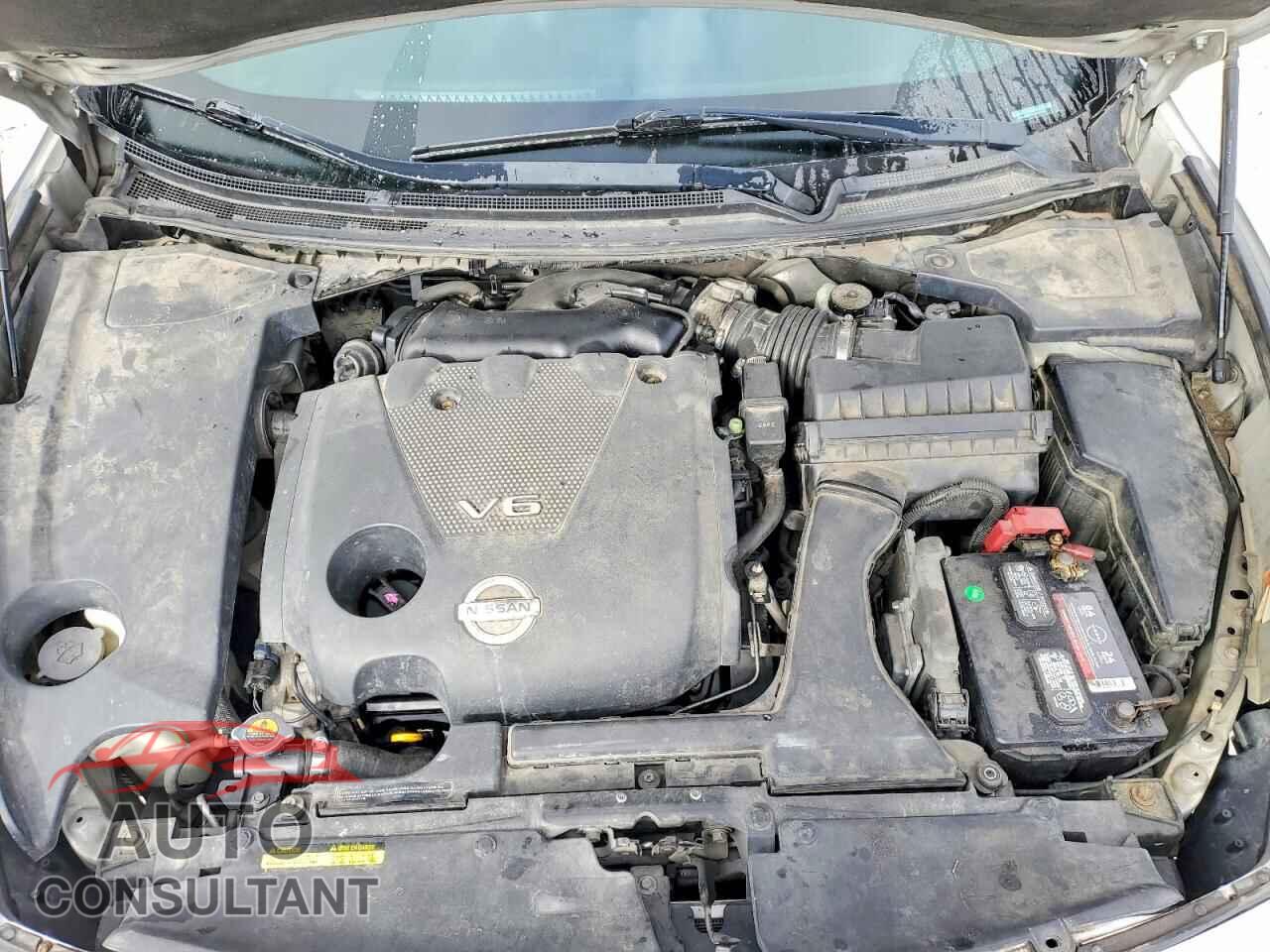 NISSAN MAXIMA 2013 - 1N4AA5AP1DC804330