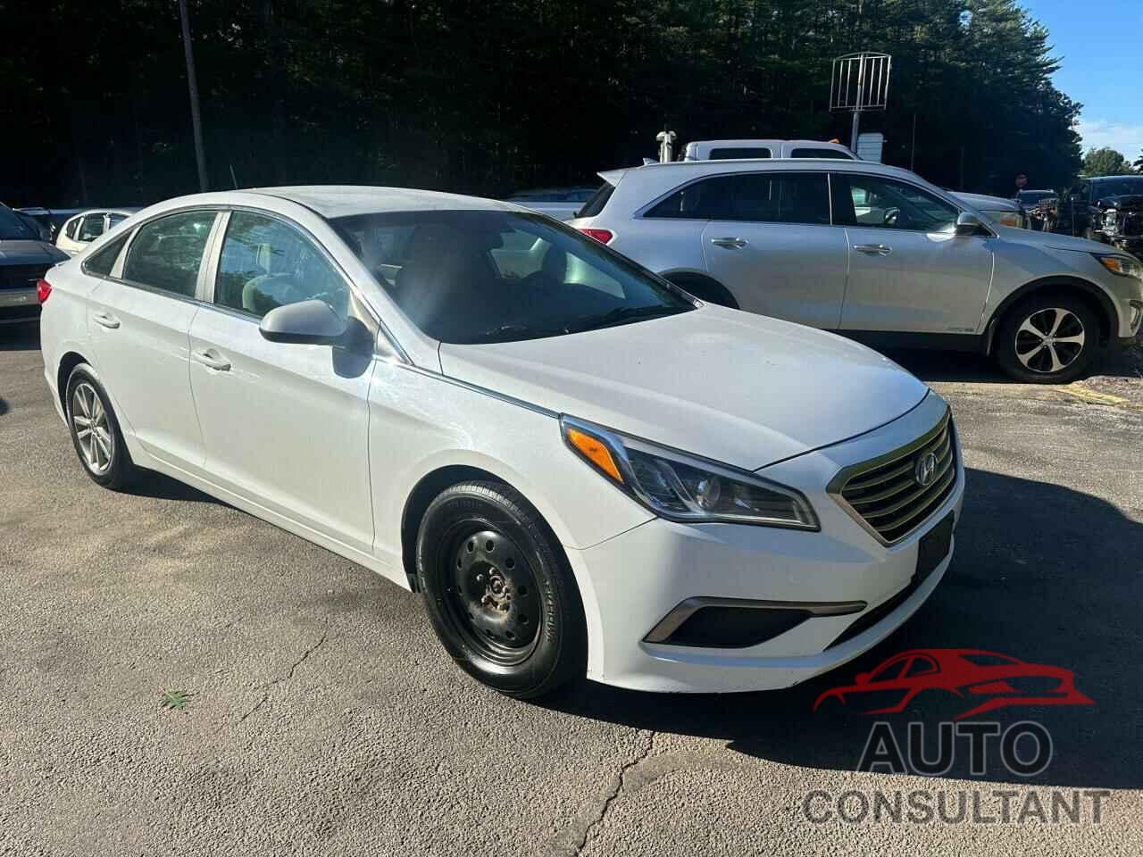 HYUNDAI SONATA 2016 - 5NPE24AF9GH358348