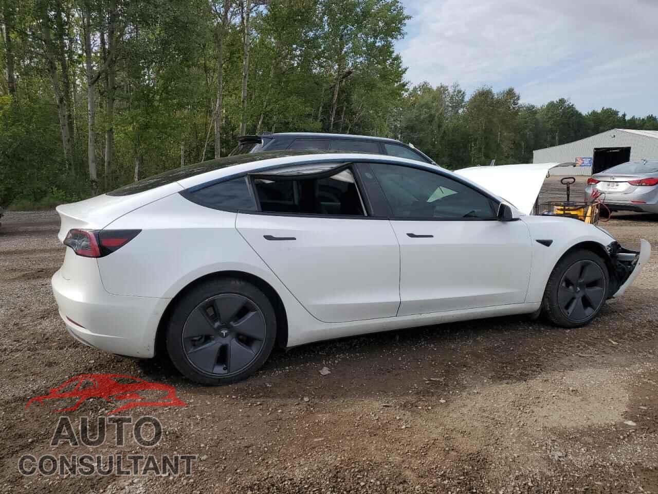TESLA MODEL 3 2021 - 5YJ3E1EA2MF962605