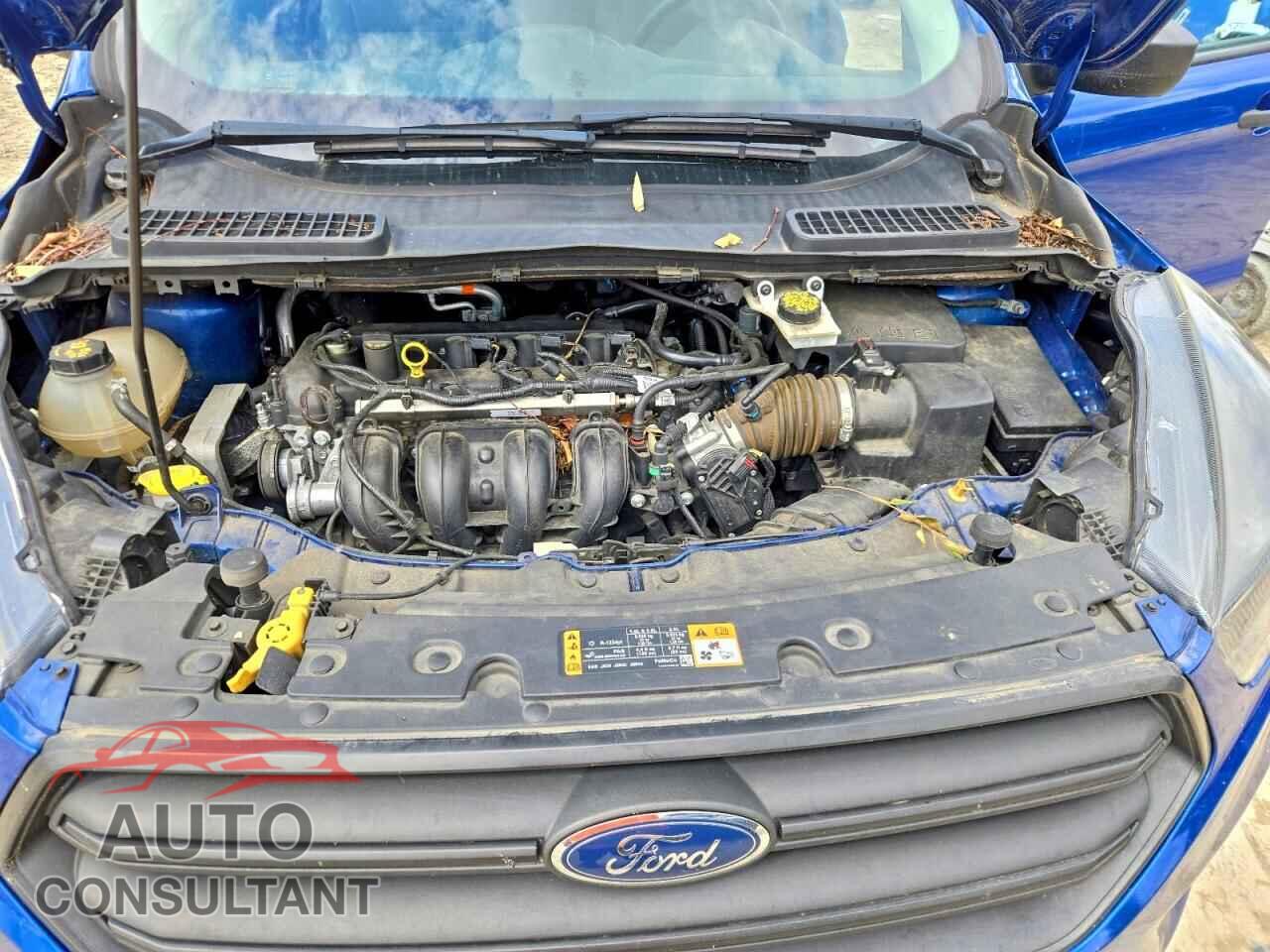 FORD ESCAPE 2019 - 1FMCU0F70KUB96602